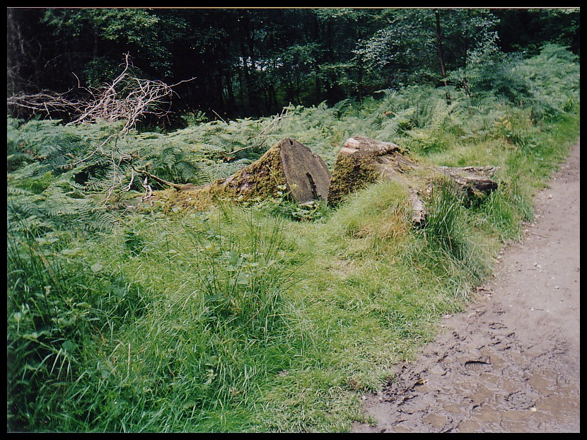 Glendalough